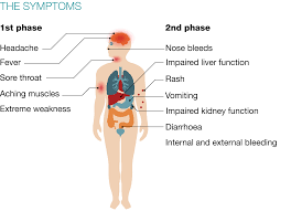 We did not find results for: 7 Key Questions On Ebola