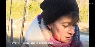 Marc Olivier Desprez added a new photo.