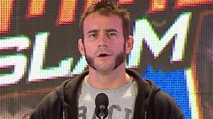 Fast forward to ancient egypt, where facial hair became a fashion statement among royalty who used a false beard made of metal. Cm Punk Sends Brock Lesnar A Message At The Summerslam 2013 Press Conference Youtube