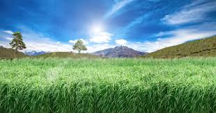 The purpose of god's grace is for christians to grow closer to him, recognizing their human limitations. Home Grace