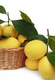 We did not find results for: Hd Wallpaper Lemons Citrus Fruits Basket Mature Juice Sour Beneficial Wallpaper Flare
