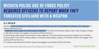 Police Use Of Force Project