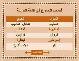 أصعب الجموع في اللغة العربية Learning Arabic Learn Arabic Language Arabic Langauge