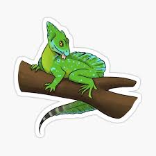 Housing there are several upfront expenses to consider, not only for the green basilisk, but for any lizard. Plumed Basilisk Gifts Merchandise Redbubble