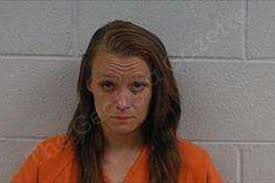 Megan Sneed — Polk County Jail Bookings