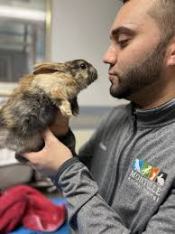 Veterinarian in Towaco, NJ