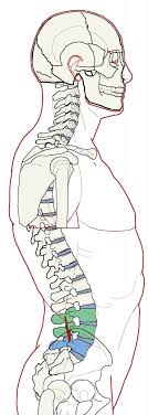 Pin On Massage