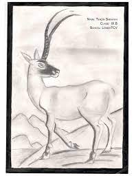 Dec 23, 1995 · 1. World Environment Day Tibetan Animal Drawing Competition