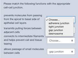 Check spelling or type a new query. Please Match The Following Functions With The Chegg Com
