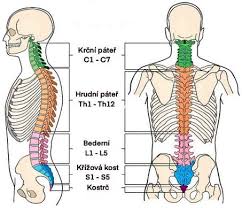 Image result for vyhřezlá ploténka