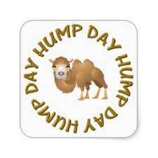 Hump vector icon simple and modern flat symbol for web. 7 Hump Day Clip Art Ideas Hump Day Wednesday Quotes Hump