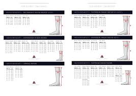 Mountain Horse S 17 Workbook Small