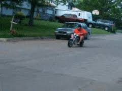 The perfect funny motorcycle animated gif for your conversation. Best Fat Guy On A Motorcycle Gifs Gfycat
