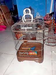 Demikian sedikit informasi tentang cara cepat untuk membuat gacor burung prenjak bahan/bakalan yang dapat kami sampaikan pada artikel kali ini. Sangkar Paralon Kedamean Gresik Bisa Pesan Sesuai Keinginan Tahan Banting Dan Harga Bersaing Burungnews