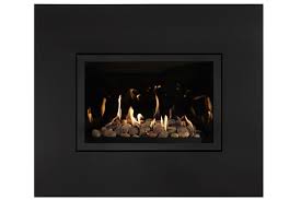 Get free shipping on qualified gas fireplace inserts or buy online pick up in store today in the heating, venting & cooling department. Archgard Fireplaces Gas Fireplace Insert United States Contemporary Style