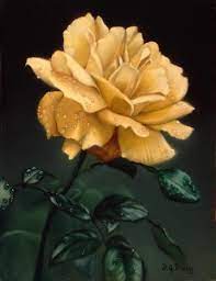 History Of The Rose The Worlds Most Famous Flower Rose Color Meanings Rose Garden Design Yellow Roses