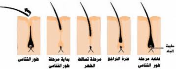 علاج تساقط الشعر علاج تساقط الشعر