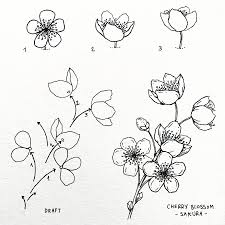 No Photo Description Available Cherry Blossom Drawing Flower Drawing Flower Drawing Tutorials