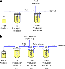 We did not find results for: Bioreactors For High Cell Density And Continuous Multi Stage Cultivations Options For Process Intensification In Cell Culture Based Viral Vaccine Production Springerlink