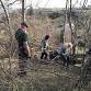 Hedge-laying and Coppicing Course, LLoyney, near..... event in Knighton