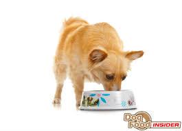 Science Diet Adult Small Toy Breed Light Review