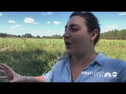 FCN's Eliza Powell gives you a sneak peek at what to expect at the Amazing  Grace Crop Farm