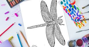 Fuzzy has fun geometric dragonfly coloring pages for preschool and kindergarten, simply symmetrical! Intricate Dragonfly Zentangle Coloring Page