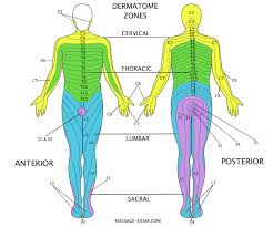 As of september, 27 states were reporting widespread flu infection, with almost all the cases being h1n1 (swine flu). Massage Therapy Terminology Glossary