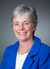 Creating a Biomaterials Business Opportunity