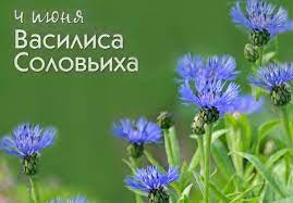 Этот профессиональный праздник машинисты грузоподъемного крана отмечают в эту дату с 2014. 4 Iyunya Vasilisa Soloviha Chto Obeshayut Nam Primety Etogo Dnya