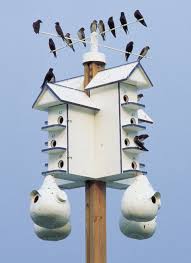 Purple martin bird house plans 16 units pdf download from purple martin house plans free download. Press Information