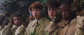 We've included characters such as petunia dursley, dolores umbridge, lily evans potter, nymphadora tonks, ginny weasley. Lavender Brown Harry Potter Wiki Fandom