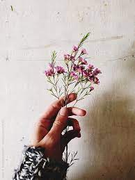 I will try my best to do it, i may or ma. Hand Holding Purple Wild Flowers By Nate Amanda Howard Flower Sketches Hands Holding Flowers Hand Flowers