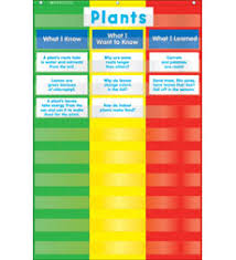 3 Column Chart Pocket Chart By