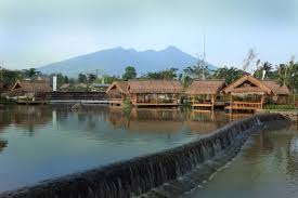 We did not find results for: Resto Rumah Air Bogor Gotravelly