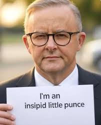 Albo is a Joke THE ORIGINAL!!!