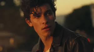 Shawn mendes was certainly the life of the party on his 21st birthday. Wishing Shawn Mendes A Happy 22nd Birthday Video Abc News