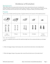 Evidence Of Evolution Packet Biology Worksheet Evolution Evolution Activities