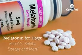Some words of warning for using melatonin in excess were covered briefly earlier but they warrant a second glance because the side effects, if left untreated, can be. Melatonin For Dogs Benefits Safety Dosage And More Certapet