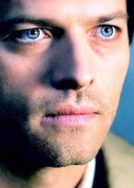 You go with.... # Red🔴or Blue🔵