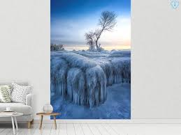 Maybe you would like to learn more about one of these? Photo Wallpaper Winter Wonderland A Shop Now