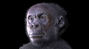 We also have a wonderful trait that other animals lack. Human Being Britannica