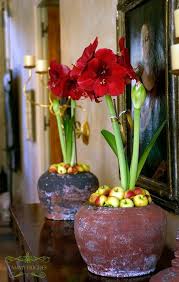 Quilted Water Bottle Carrier With 17 Oz Reusable Plastic Bottle Walmart Com Red Amaryllis Planting Bulbs Amaryllis Flowers