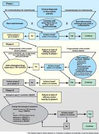 Eular Recommendations For The Management Of Rheumatoid Arthritis With Synthetic And Biological Disease Modifying Antirheumatic Drugs Annals Of The Rheumatic Diseases