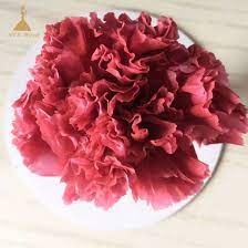 Carnation Flower Lifespan Best Flower Wallpaper