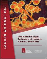Polyester staple fiber and pet resin. One Health Fungal Pathogens Of Humans Animals And Plants Ncbi Bookshelf