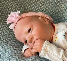 Reborn Artists and Collectors Nurseries