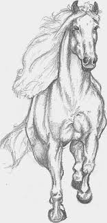 Horse Pencil Drawing By Mukiya Deviantart Com On Deviantart Risunki Lica Risunki Zhivotnyh Nabroski