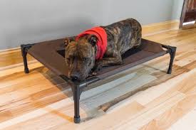 Best canopy dog beds (complete sets). The Best Dog Beds Reviews By Wirecutter
