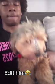 Lamar Jackson Clips with Dog